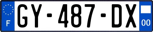 GY-487-DX