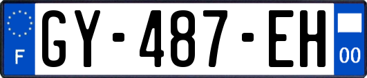 GY-487-EH