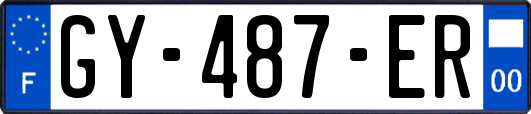 GY-487-ER