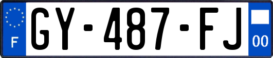 GY-487-FJ