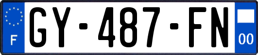 GY-487-FN