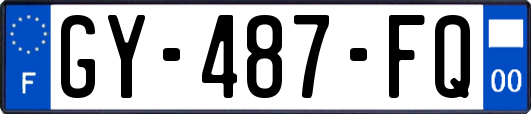 GY-487-FQ