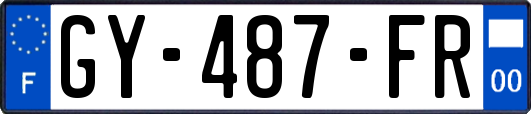 GY-487-FR