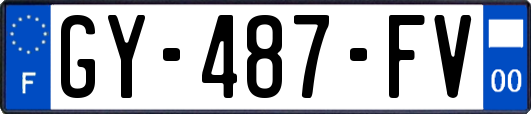 GY-487-FV