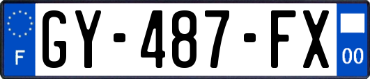 GY-487-FX