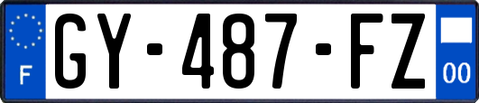 GY-487-FZ