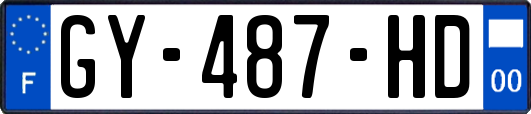 GY-487-HD