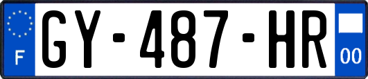 GY-487-HR