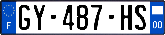 GY-487-HS