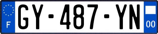 GY-487-YN