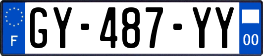 GY-487-YY