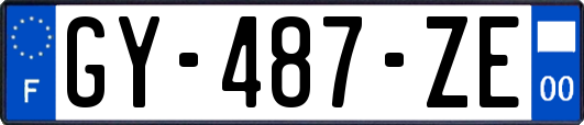 GY-487-ZE