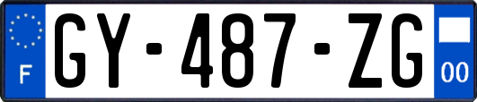 GY-487-ZG
