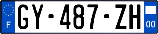 GY-487-ZH