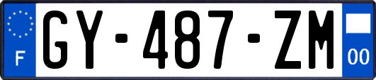 GY-487-ZM