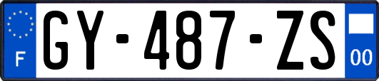 GY-487-ZS