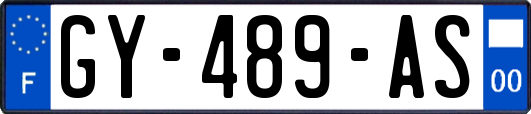 GY-489-AS