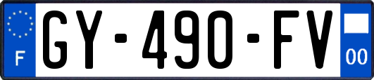 GY-490-FV