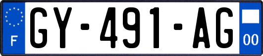 GY-491-AG