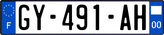GY-491-AH