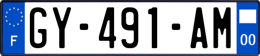 GY-491-AM