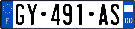 GY-491-AS