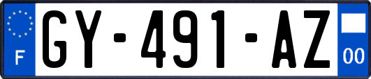 GY-491-AZ