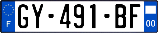 GY-491-BF