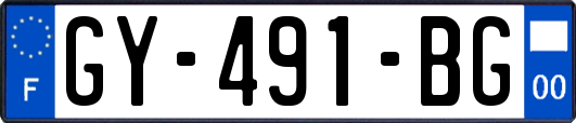 GY-491-BG