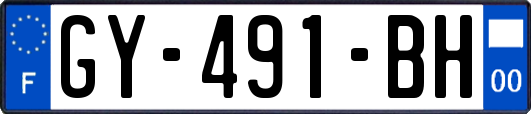 GY-491-BH