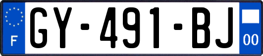 GY-491-BJ