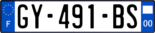 GY-491-BS