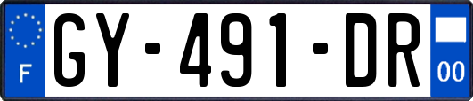 GY-491-DR