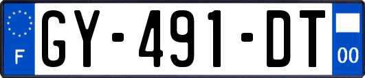 GY-491-DT
