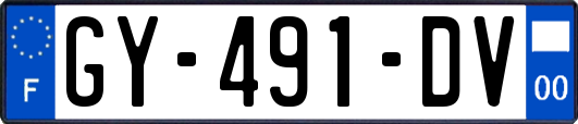 GY-491-DV