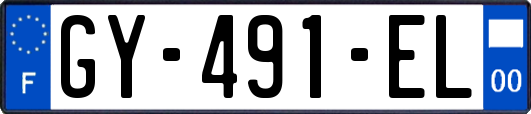 GY-491-EL