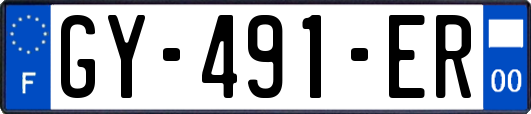 GY-491-ER