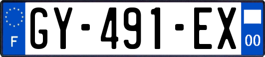 GY-491-EX