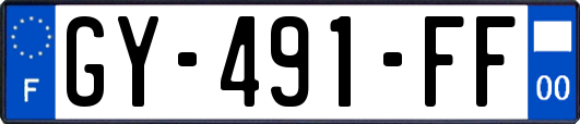 GY-491-FF