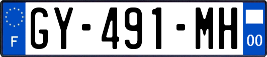 GY-491-MH