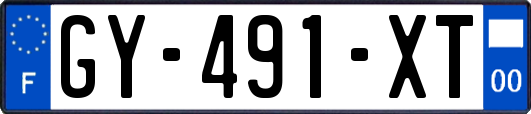 GY-491-XT