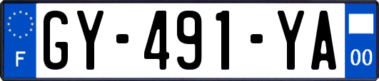 GY-491-YA