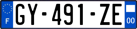 GY-491-ZE