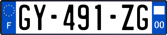 GY-491-ZG