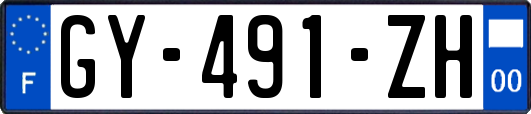 GY-491-ZH