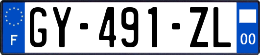 GY-491-ZL
