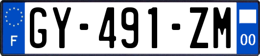 GY-491-ZM