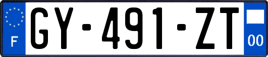 GY-491-ZT