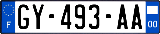 GY-493-AA