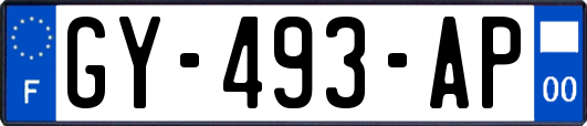GY-493-AP